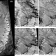 Image for article titled Scientists find evidence of liquid water on the surface of Mars